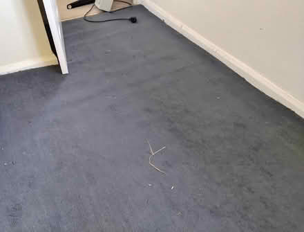 Photo of free Carpet & Underlay (Welwyn AL6) #3