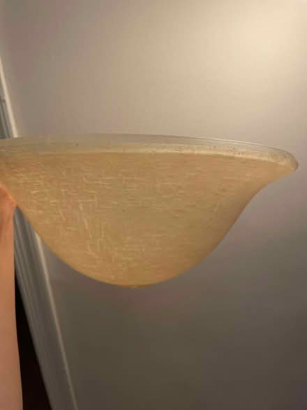 Photo of free Torchiere Lamp Shade (Broomall) #3