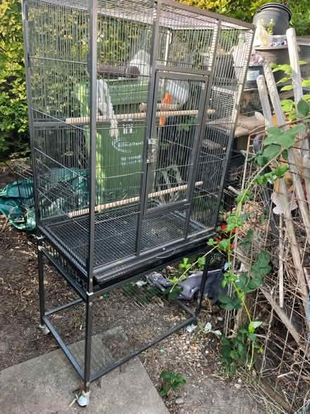 Photo of free Bird Cage (RM10) #4