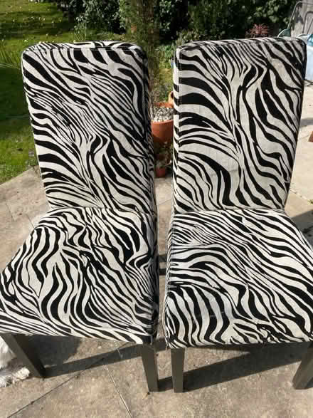 Photo of free Two feature chairs (TW18) #1