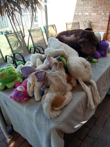 Photo of free Plush toys (Lake haven 2263) #2