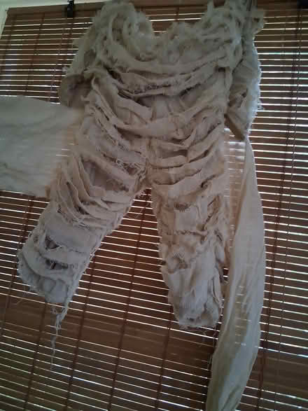 Photo of free Mummy Halloween costume (16th & whittier nw 20012) #1