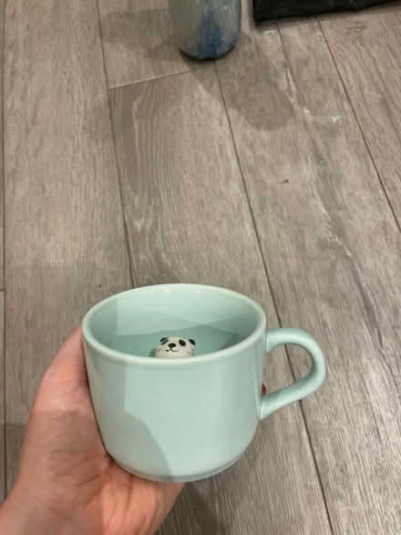 Photo of free Panda peekaboo mug (Streatham Hill) #2