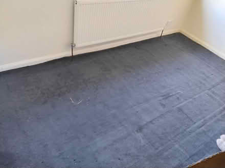 Photo of free Carpet & Underlay (Welwyn AL6) #2