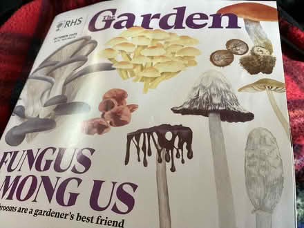 Photo of free 20 ish RHS magazines, up to date! (Rayleigh SS6) #1