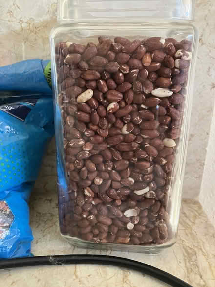 Photo of free Peanuts for feeding animals (Lakewood Village) #1