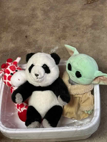 Photo of free stuffed animals (San Rafael) #1