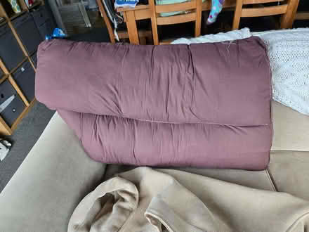 Photo of free Sofa cushions (Duddingston EH15) #3