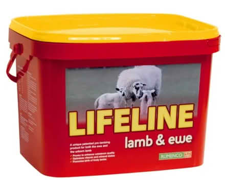 Photo of Empty buckets/containers with lids (Kettleshulme SK23) #2