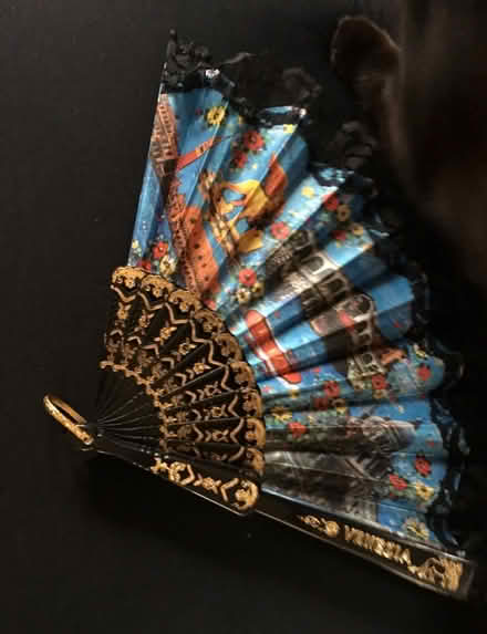 Photo of free Pretty Hand Fan (Liverpool L6) #1