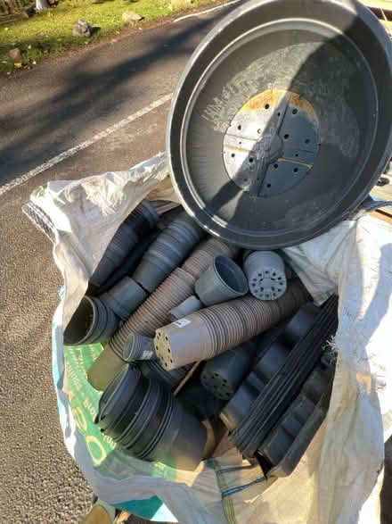 Photo of free pots! lots (Radlett wd7) #1