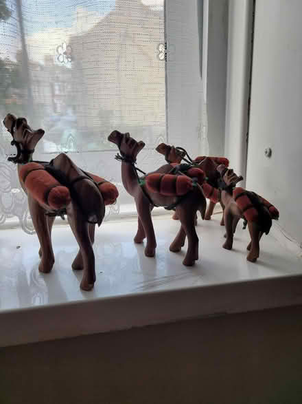 Photo of free Wooden camels 🐫 (SW17) #1