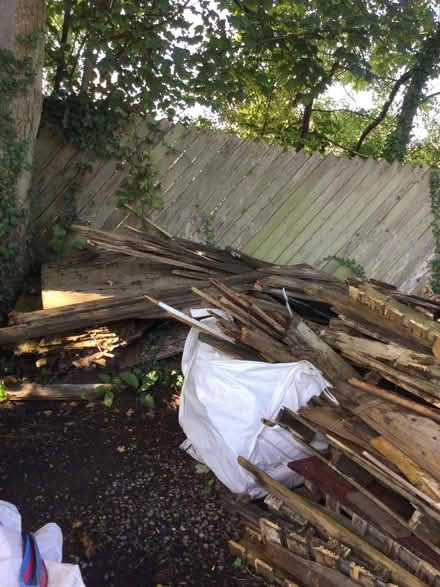 Photo of free Wood (Appleby-in-Westmorland CA16) #1