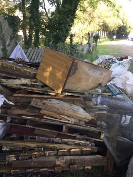 Photo of free Wood (Appleby-in-Westmorland CA16) #3