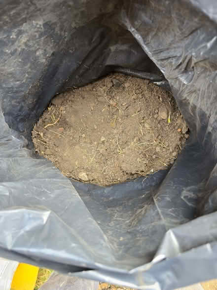 Photo of free Garden soil, 100 bags (Roseburn EH12) #2