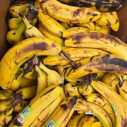Photo of free Over Ripe Bananas (Chiquita Mountain View) #3