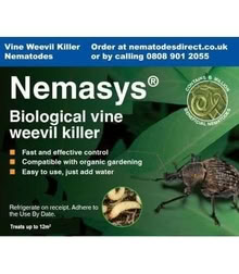 Photo of Vine Weevil Nematodes (Knighton LD7) #1