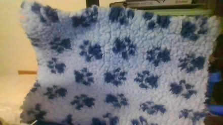 Photo of free puppy/cat stuff (BA2) #3