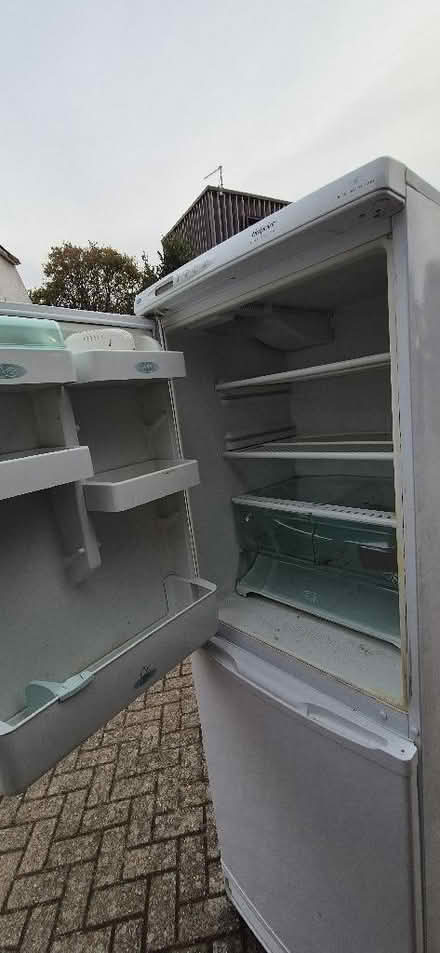 Photo of free Fridge freezer in excellent condition (Holly Lodge Estate N6) #3