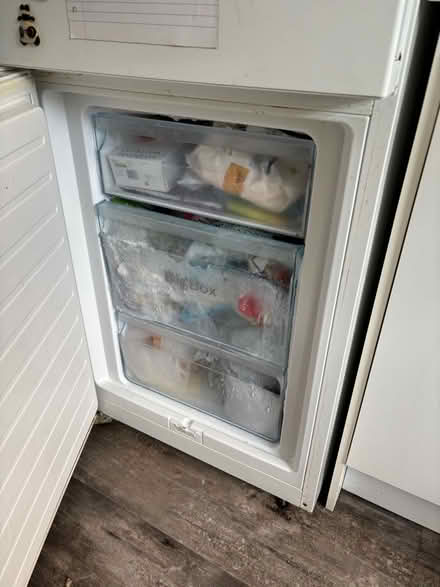 Photo of free Bosch fridge freezer (St Ann's Wells Gardens area BN3) #3
