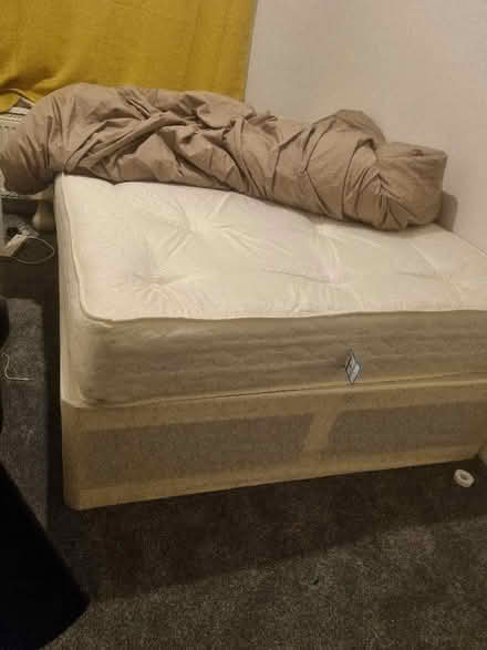 Photo of free Double bed with Mattress (Whitechapel E1) #1