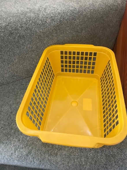Photo of free Plastic storage basket (Wallands Park BN7) #1