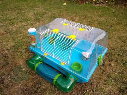 Photo of free Dwarf Hamster or Mouse Home (Hatfield Peverel CM3) #4