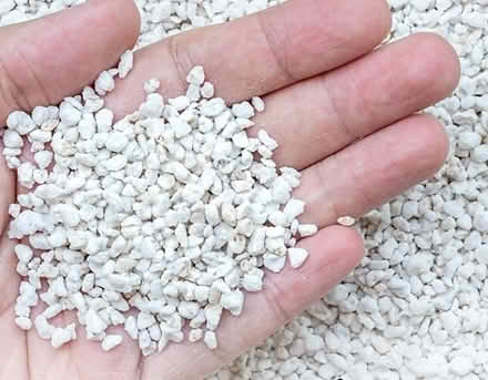 Photo of Perlite to improve my potting soil (Dublin central) #1