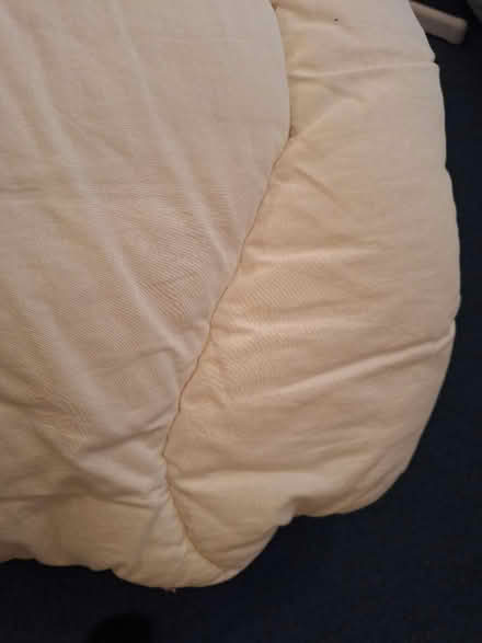 Photo of free King size duvet (Caversham RG4) #1