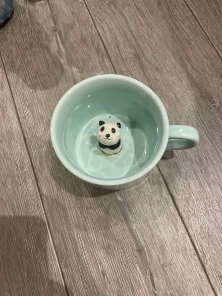 Photo of free Panda peekaboo mug (Streatham Hill) #1