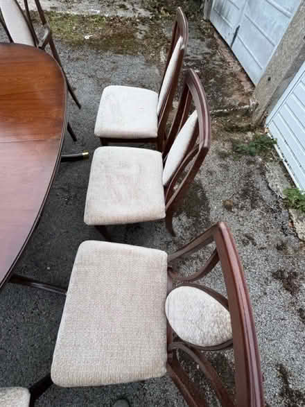 Photo of free Extendable dining table & 8 chairs (Maidenhead/Cox Green) #4