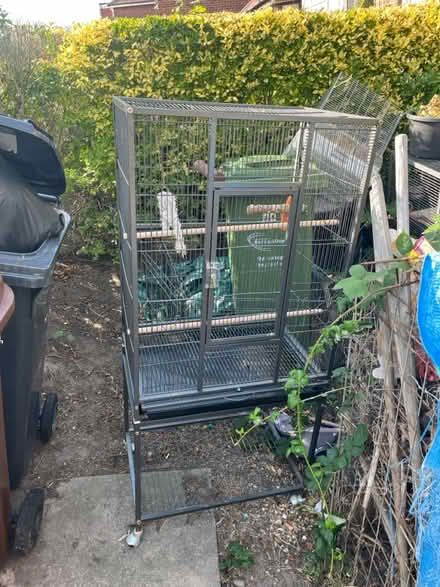 Photo of free Bird Cage (RM10) #1