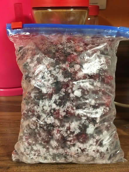 Photo of free Freshly Frozen Blackberry’s (Liverpool L6) #2