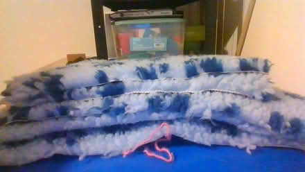 Photo of free puppy/cat stuff (BA2) #2