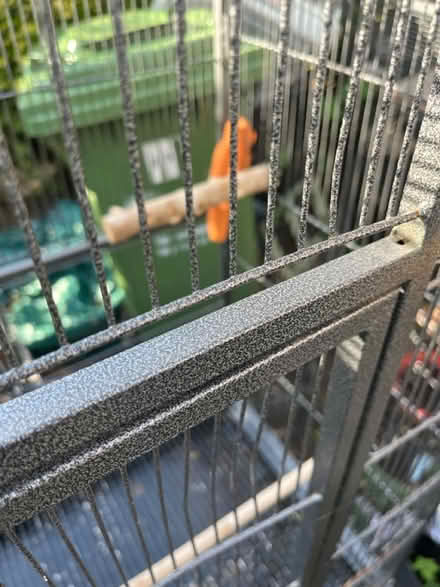 Photo of free Bird Cage (RM10) #3