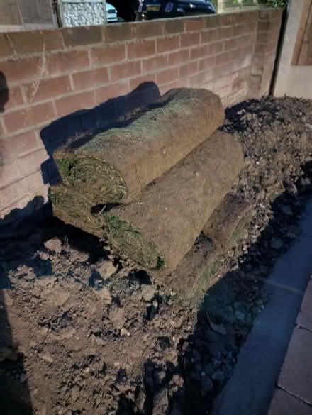 Photo of free Turf (Stanway, CO3) #1