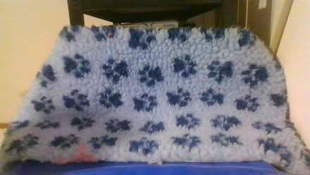 Photo of free puppy/cat stuff (BA2) #4