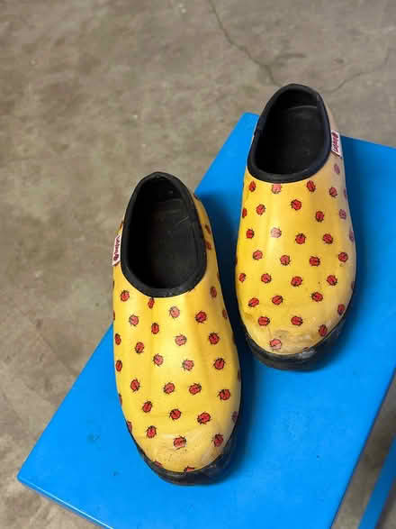 Photo of free gardening shoes (San Rafael) #1