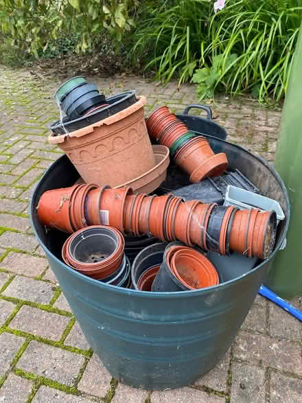 Photo of free Pots (Highweek) #1
