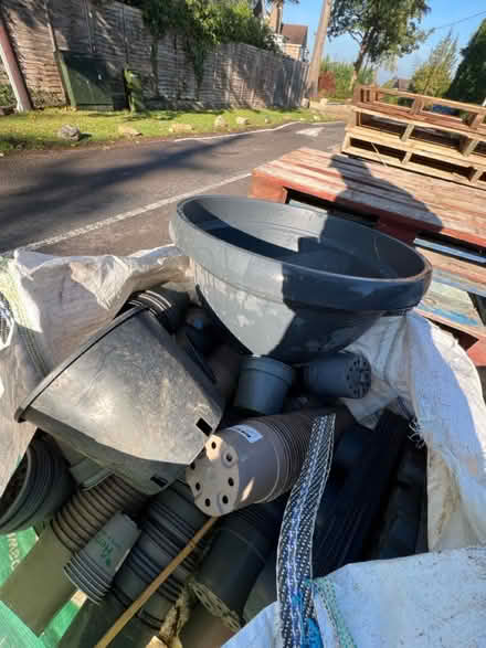 Photo of free pots! lots (Radlett wd7) #2
