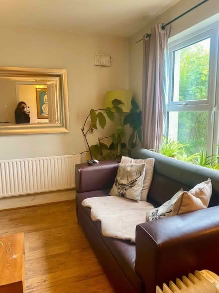 Photo of free Leather two seater sofa (Rahoon , westside . Galway) #3
