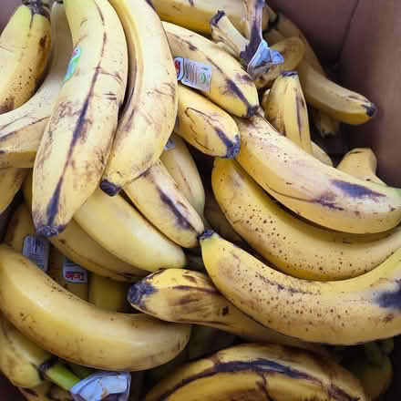 Photo of free Over Ripe Bananas (Chiquita Mountain View) #1