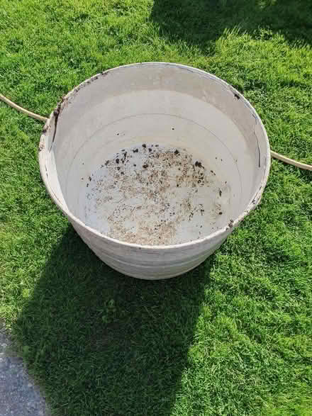Photo of free Large plastic plant pot (Enfield EN2) #2