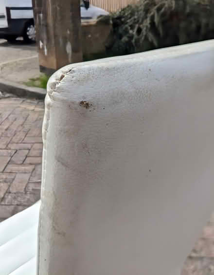 Photo of free Set of 6 Dining Chairs (PL4 Greenbank.) #3