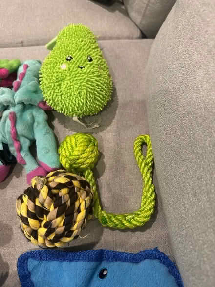 Photo of free Dog toys (East Boston) #2