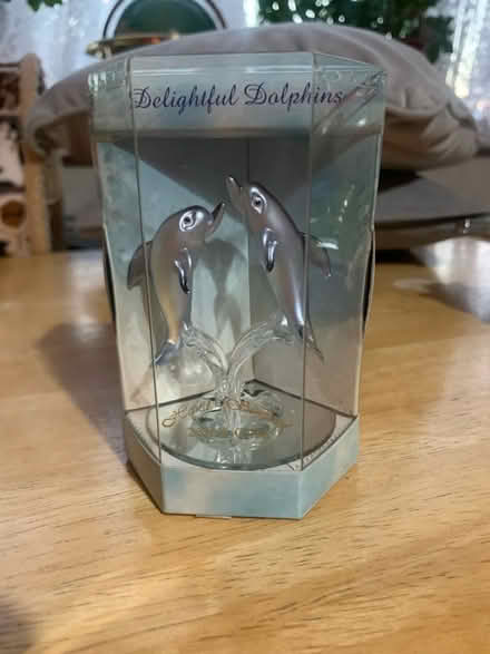 Photo of free Delightful Dolphins (Colney Hatch N10) #1