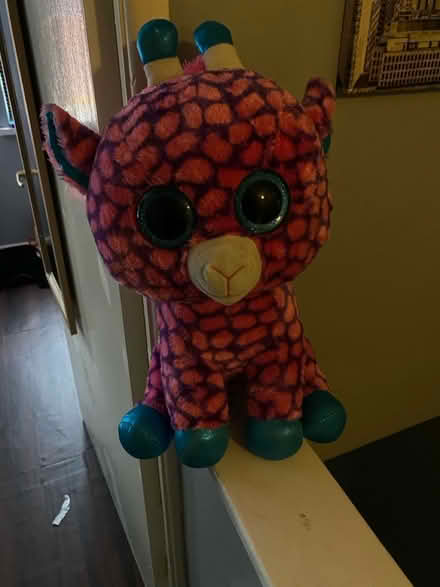 Photo of free Big teddy (Oswestry) #1