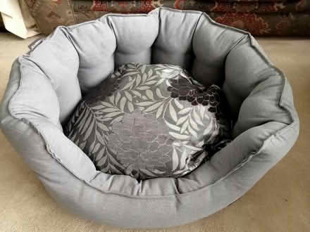 Photo of free Dog bed (Glen Waverley) #1