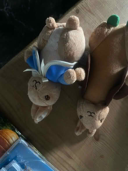 Photo of free Peter rabbit (Oswestry) #1