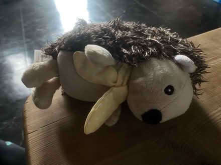 Photo of free Hedgehog teddy (Oswestry) #1